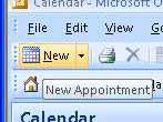 New Appointment Button